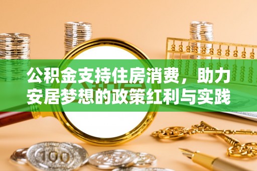 苑里公积金支持住房消费，助力安居梦想的政策红利与实践