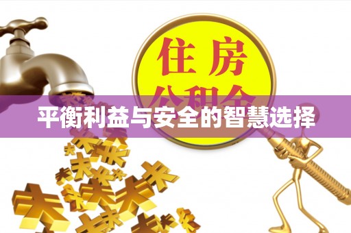 苑里平衡利益与安全的智慧选择