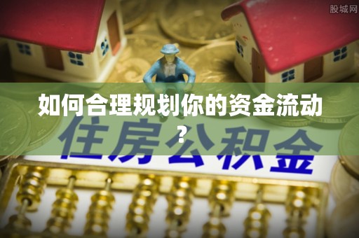 苑里如何合理规划你的资金流动？