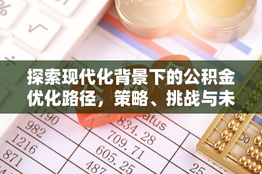 苑里探索现代化背景下的公积金优化路径，策略、挑战与未来展望