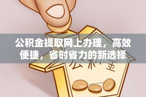 苑里公积金提取网上办理，高效便捷，省时省力的新选择