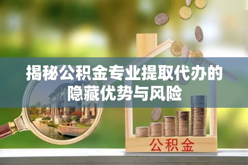 苑里揭秘公积金专业提取代办的隐藏优势与风险