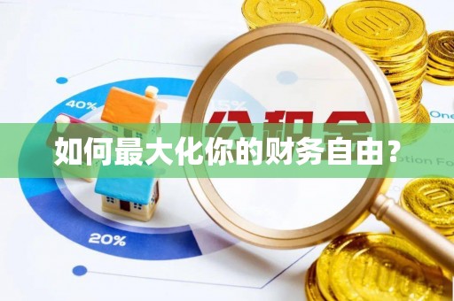 苑里如何最大化你的财务自由？