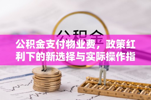 苑里公积金支付物业费，政策红利下的新选择与实际操作指南
