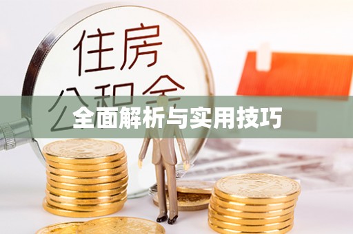 苑里全面解析与实用技巧