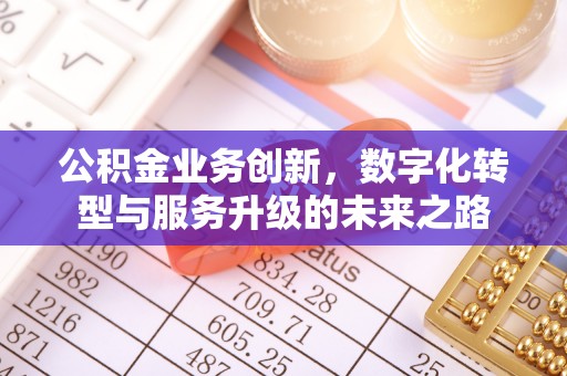 苑里公积金业务创新，数字化转型与服务升级的未来之路