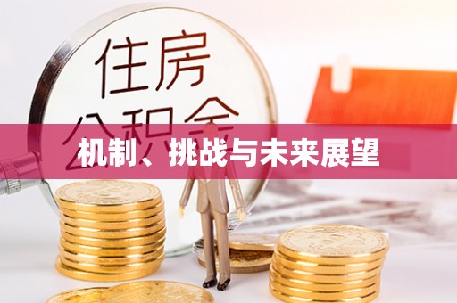 苑里机制、挑战与未来展望
