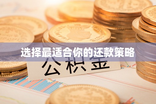 苑里选择最适合你的还款策略