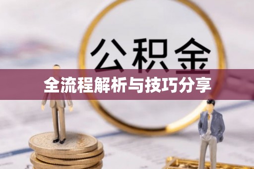 苑里全流程解析与技巧分享